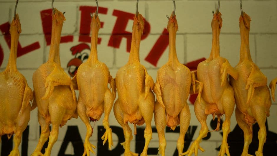 Chicken 65