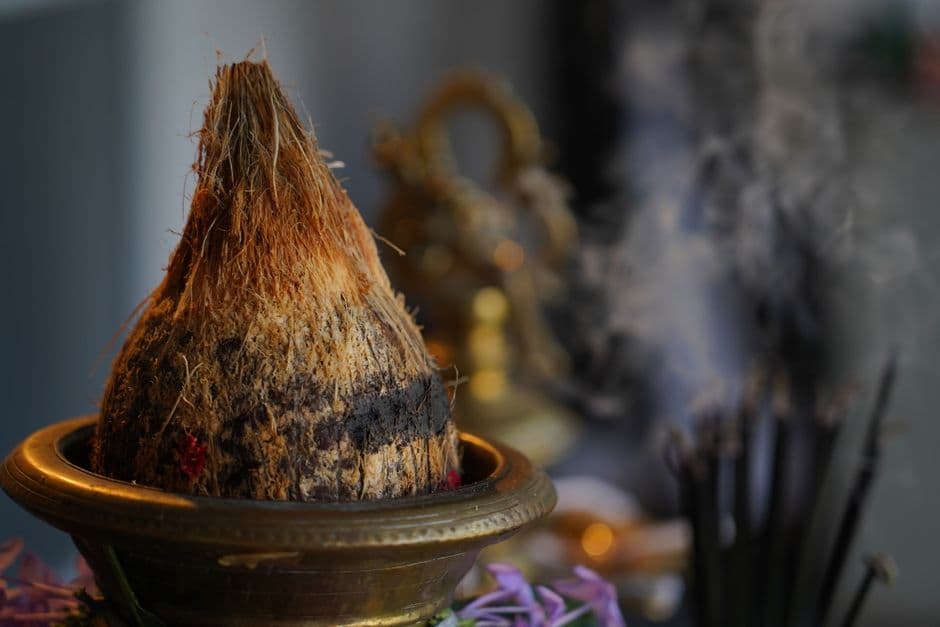 Pongal